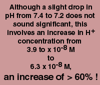 Although a slight drop in pH from 7.4 to 7.2 does not sound 

significant, this involves an increase in H<SUP>+</SUP> concentration from 3.9 to x 10<SUP>-8</SUP> M to 6.3 x 10<SUP>-8</SUP> M, an increase of > 60%!