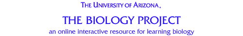 The Biology Project: an interactive, online resource for learning biology