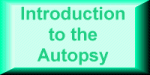 autopsy introduction