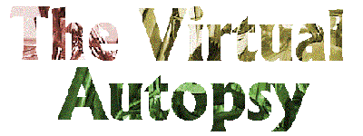 the virtual autopsy- evaluation page